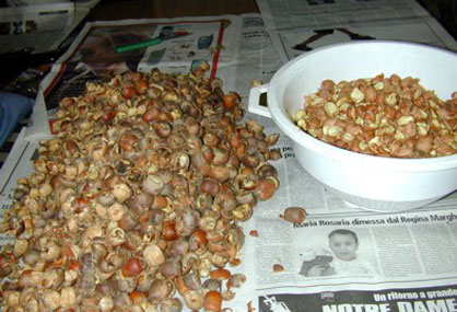 Autunno Categoria: Autunno - Sorelle Schidoni - Foto 7